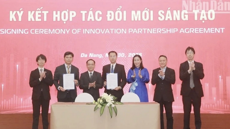 Da Nang pushes investment attraction for innovation, start-up ecosystem